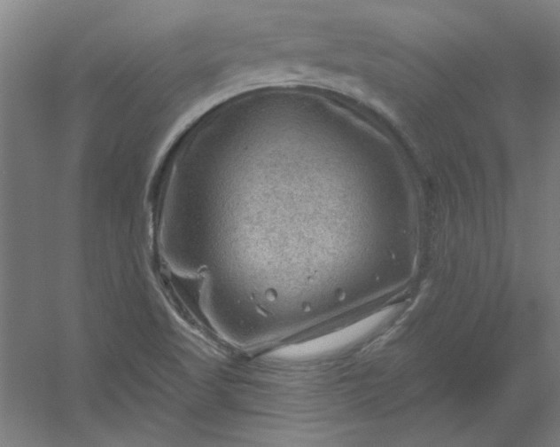 X0000054401509200508121645