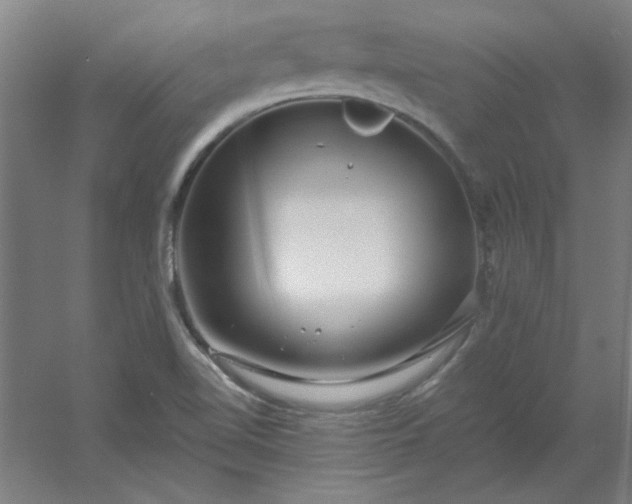 X0000054401510200508121645