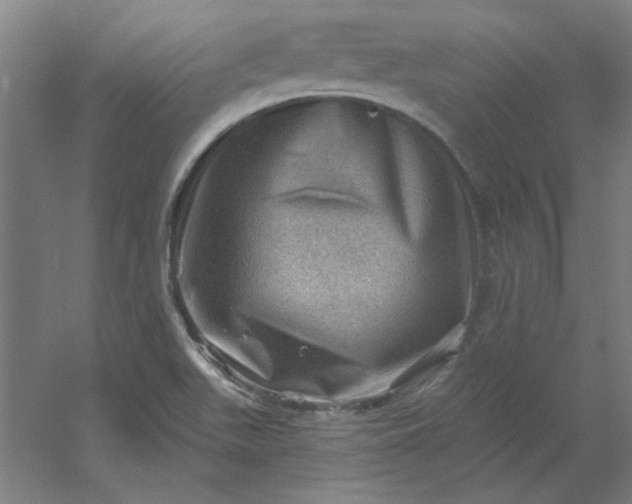 X0000054401511200508121645