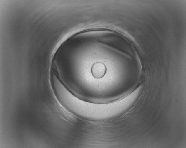 X0000054401512200508121645