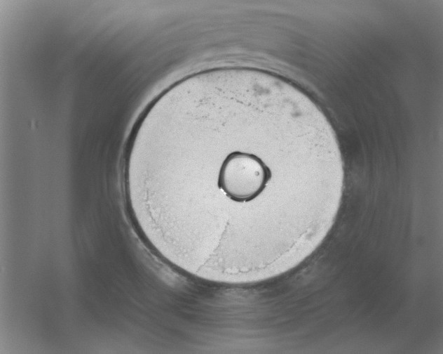 X0000054401514200508121645