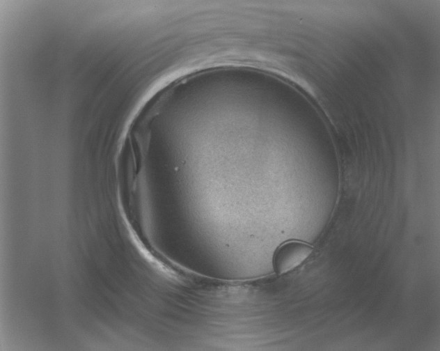 X0000054401515200508121645