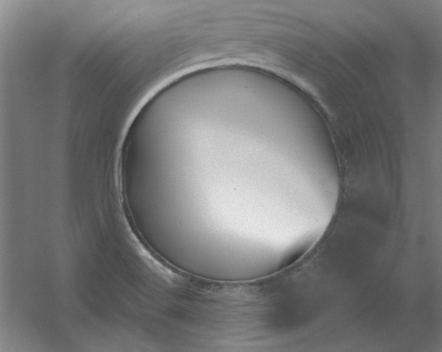 X0000054401516200508121645