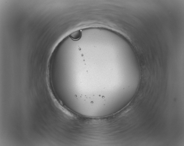 X0000054401518200508121645