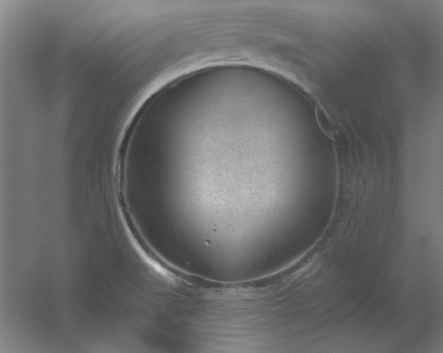 X0000054401519200508121645