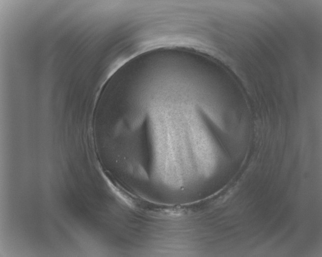 X0000054401521200508121645