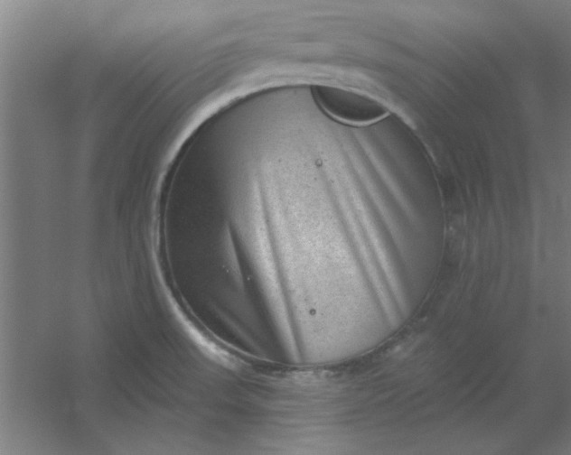 X0000054401523200508121645