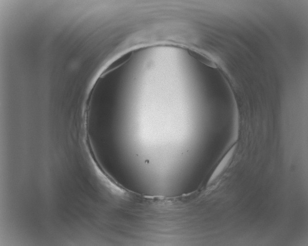 X0000054401524200508121645