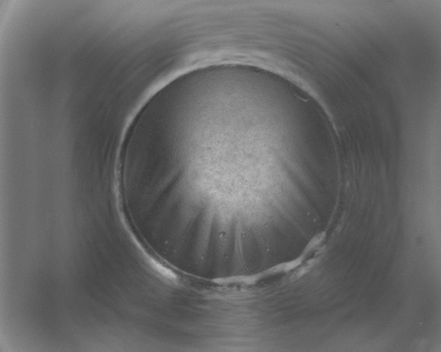 X0000054401525200508121645