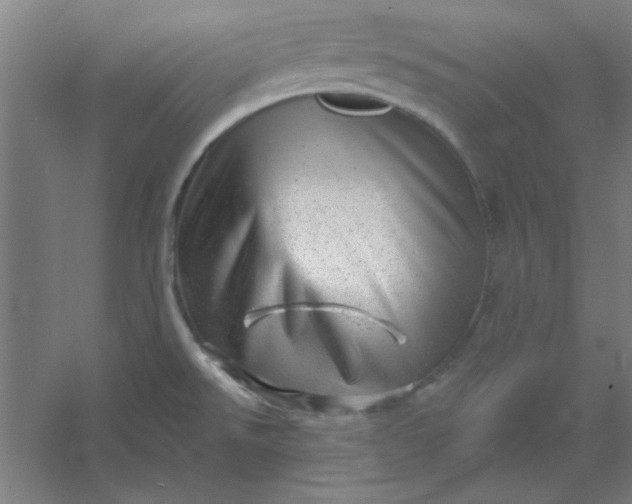 X0000054401526200508121645