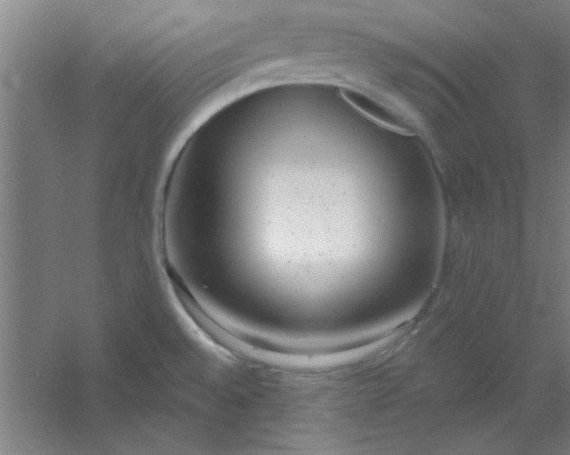 X0000054401528200508121646