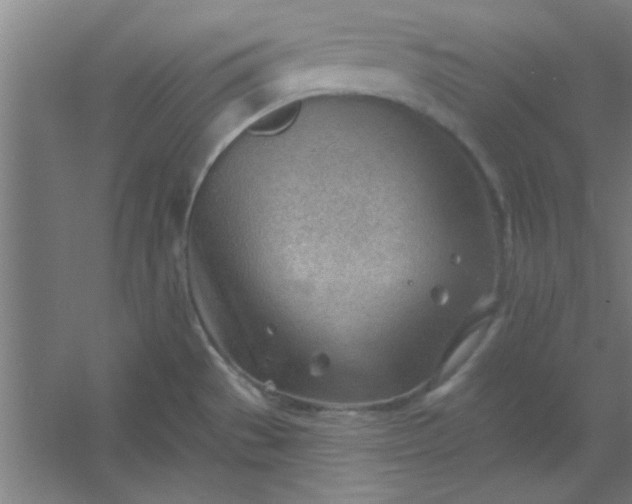 X0000054401529200508121646