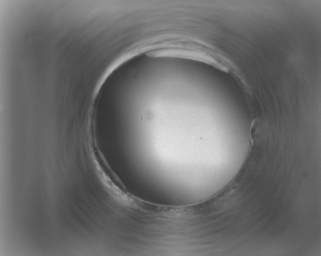 X0000054401530200508121646