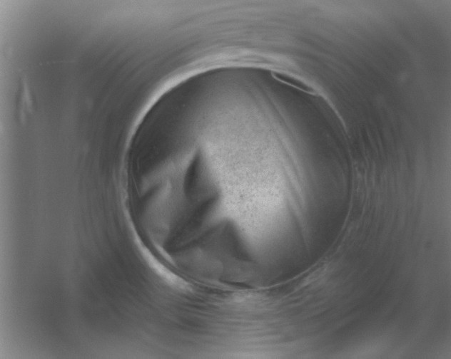 X0000054401531200508121646