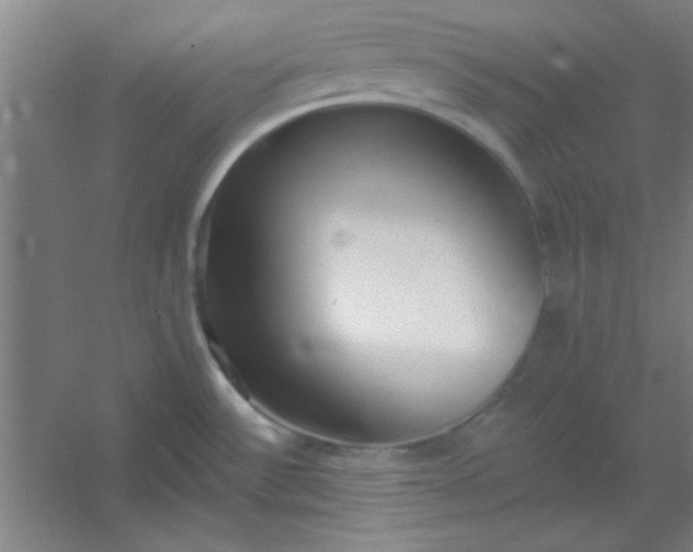 X0000054401532200508121646