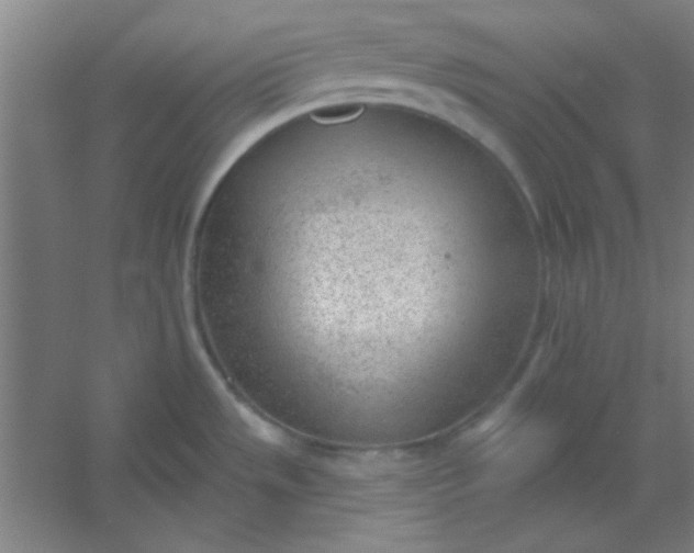 X0000054401533200508121646