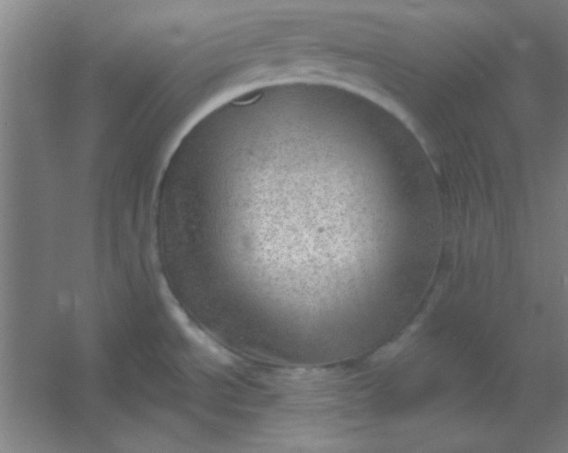 X0000054401534200508121646