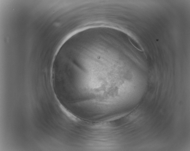 X0000054401535200508121646