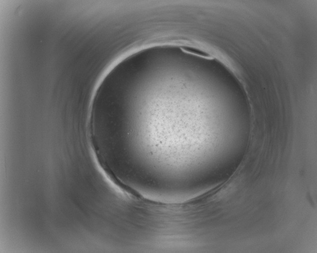 X0000054401536200508121646