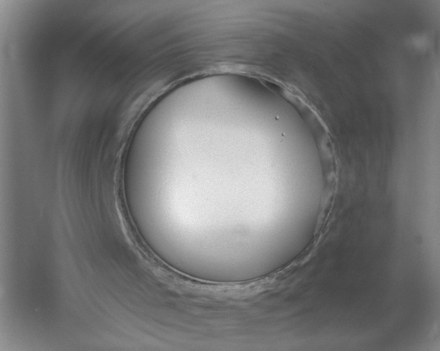 X0000054400001200508192017