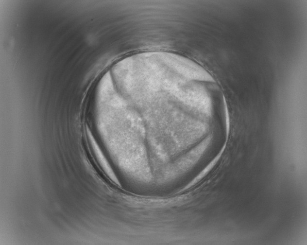 X0000054400002200508192017