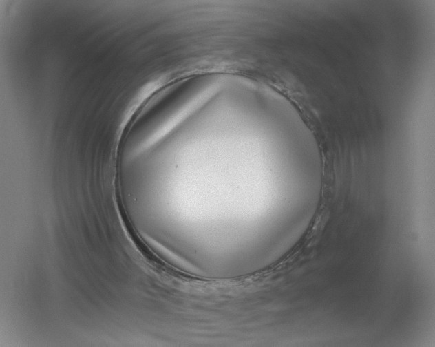 X0000054400003200508192017