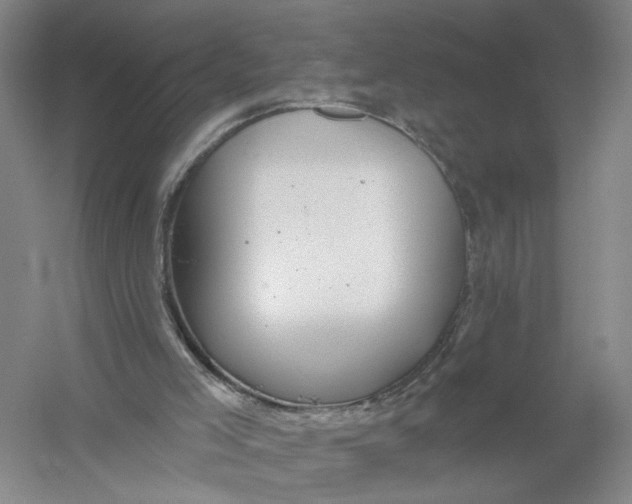 X0000054400005200508192017