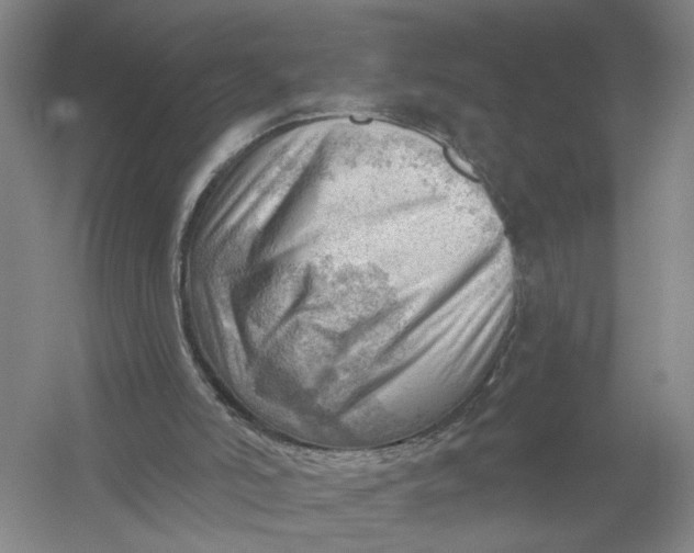 X0000054400006200508192017