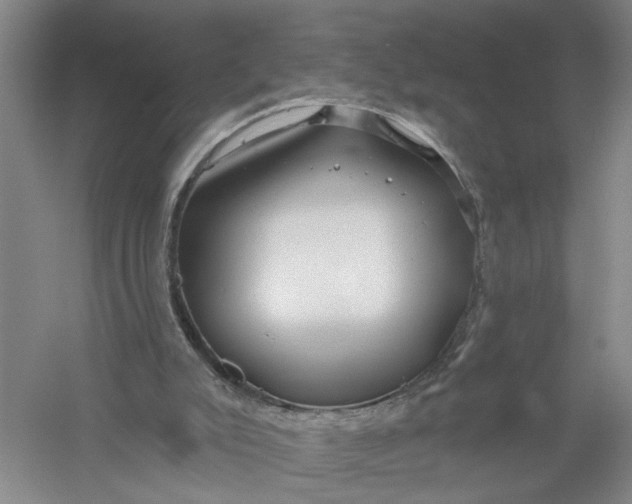 X0000054400007200508192017