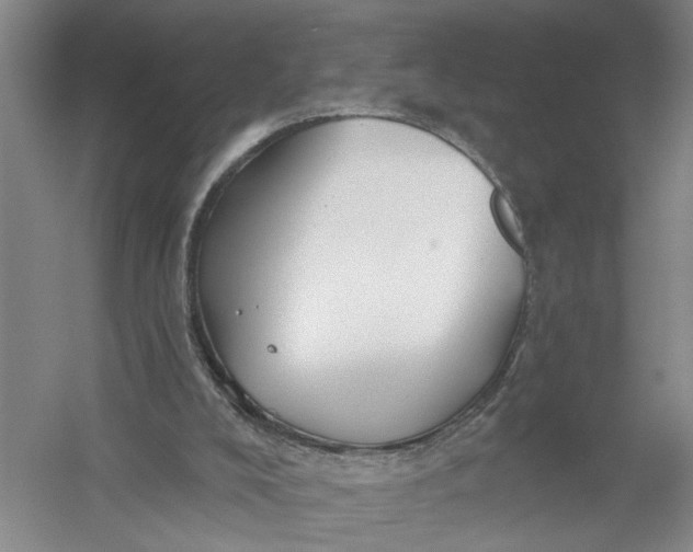 X0000054400008200508192017