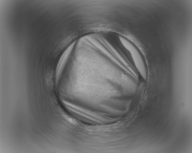 X0000054400009200508192017