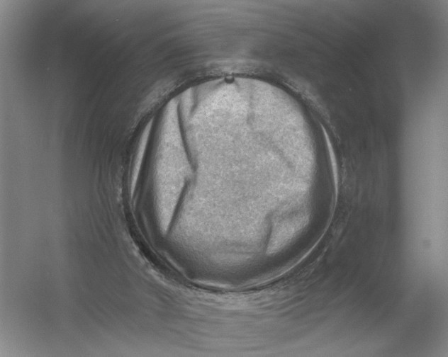 X0000054400010200508192017