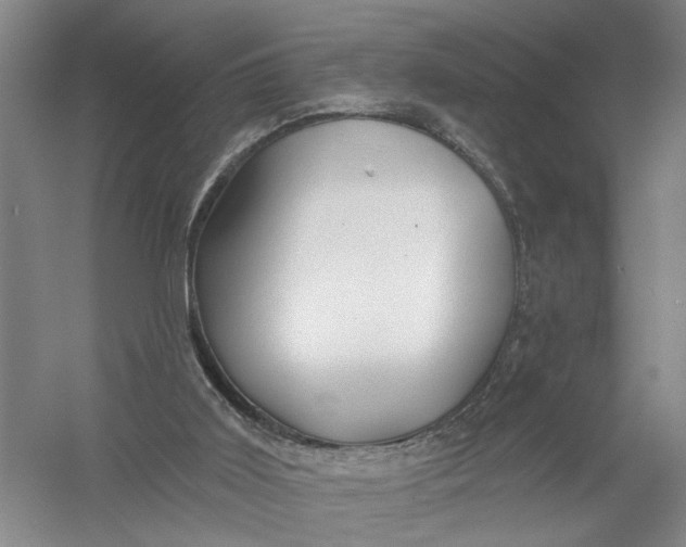 X0000054400011200508192017