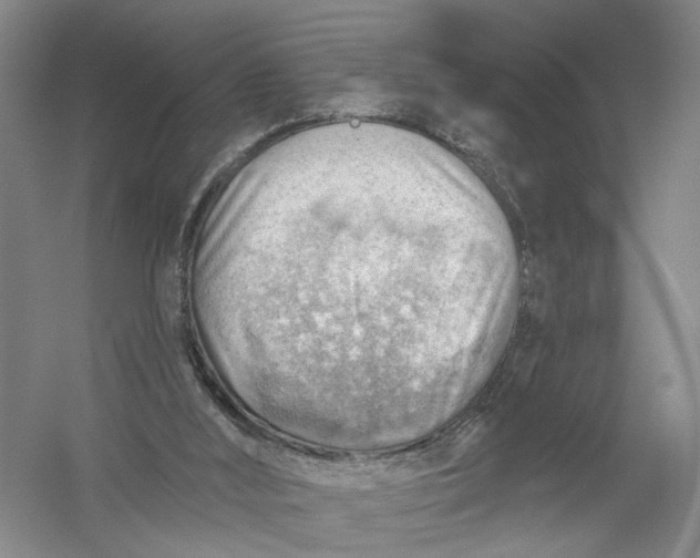 X0000054400012200508192017