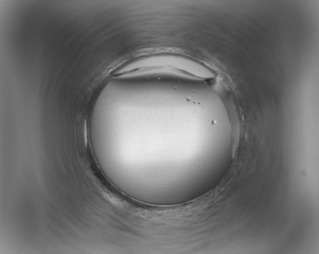 X0000054400013200508192017