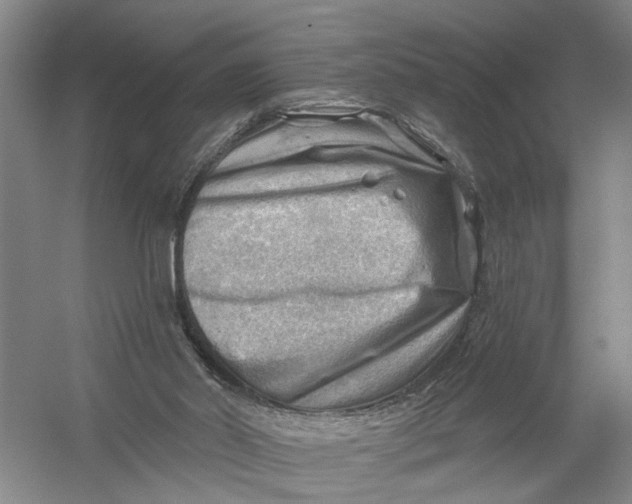 X0000054400014200508192017