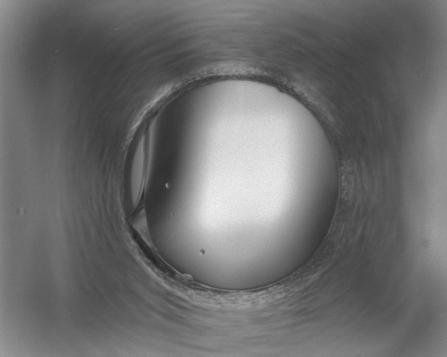 X0000054400015200508192017