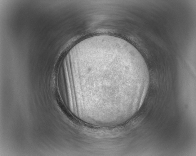 X0000054400016200508192017