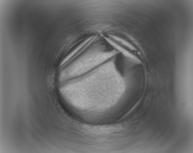 X0000054400018200508192017