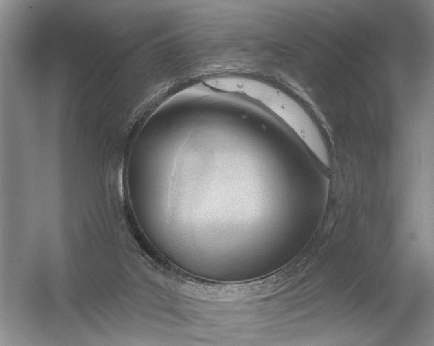 X0000054400019200508192017