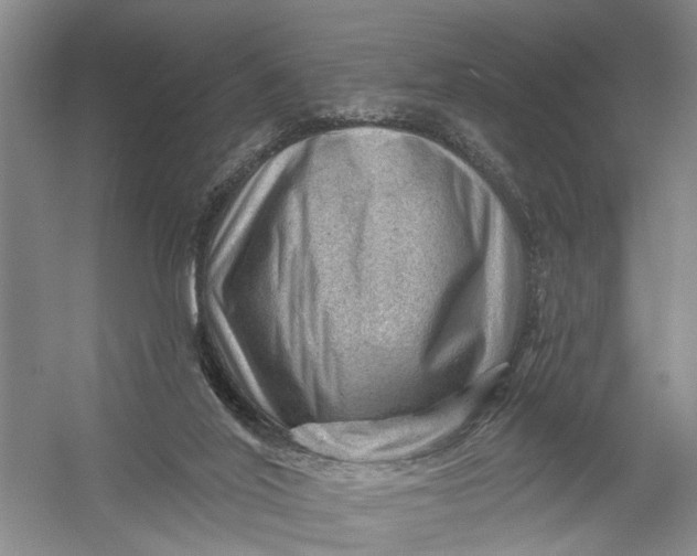 X0000054400020200508192017