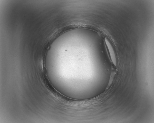 X0000054400021200508192017