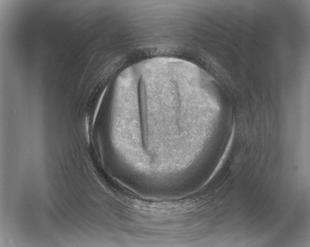 X0000054400022200508192017