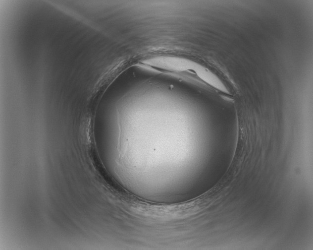 X0000054400023200508192017