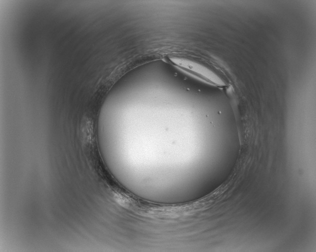 X0000054400025200508192017