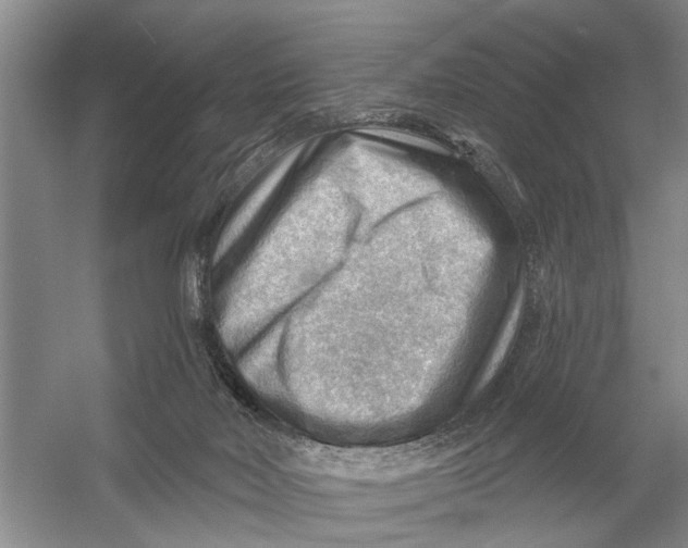 X0000054400026200508192017