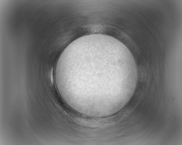 X0000054400028200508192017