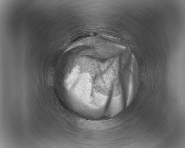 X0000054400030200508192017