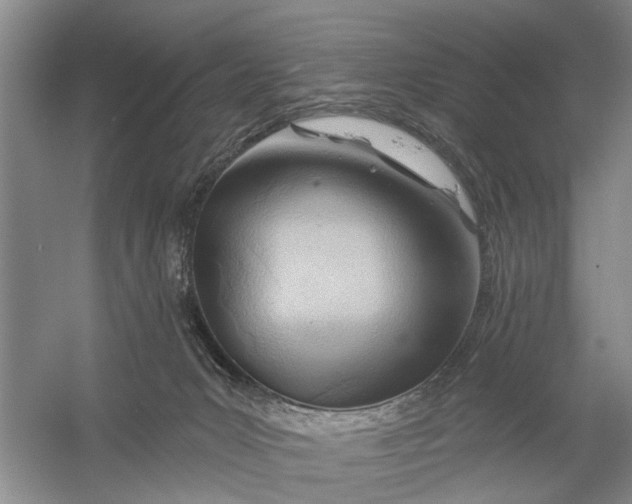 X0000054400031200508192017