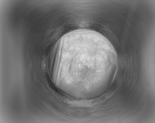 X0000054400032200508192017